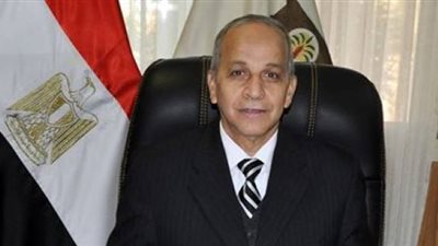 محافظ الوادي الجديد يعتمد تخطيط وتقسيم منطقتين