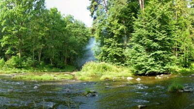 تراجع مساحات غابات الأمازون يفقدها دورها في إيجاد التوازن المناخي