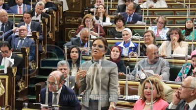 سحر نصر: إصدار قانون 