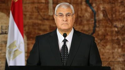 المحكمة الدستورية تصدر حكمها في قضية مقامة ضد وزير المالية