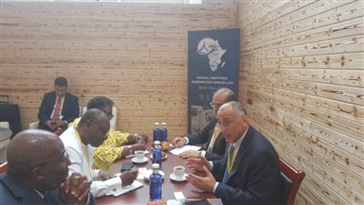 «المركزي» يناقش زيادة رأس ماله مع «التنمية الأفريقي» بغينيا