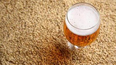 السعودية تشترى مليون طن شعير فى مناقصة عالمية