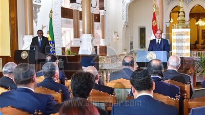 السيسي يعرب عن قلقه من حالة الجمود التي تسود مفاوضات سد النهضة