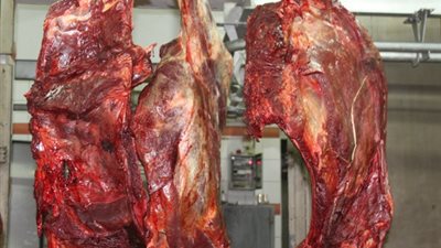 ضبط 38 قضية تموينية متنوعة في سوهاج