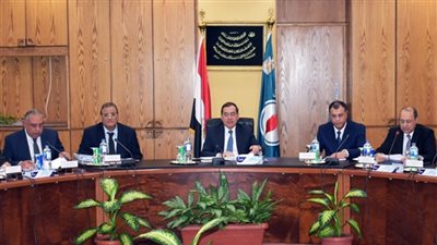 وزير البترول: تطوير صناعة 