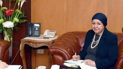 استقالة منى زوبع رئيسة الهيئة العامة للاستثمار