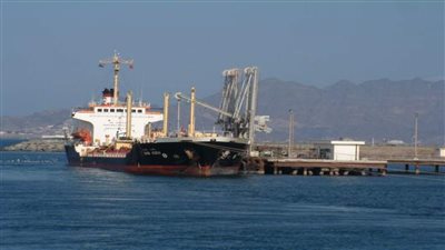 تداول 313 شاحنة بضائع عامة بموانئ البحر الأحمر