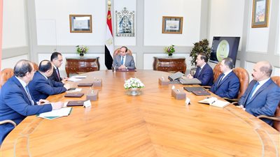 السيسى يشدد على أهمية توصيل الغاز الطبيعي للوحدات السكنية والمدن الجديدة