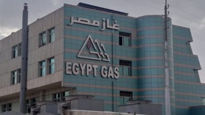 «القضاء الإداري» تلزم «الرقابة المالية» بتعويض «أكيومن» 