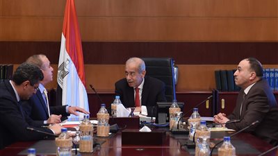 رئيس الوزراء يستعرض مع 