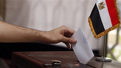 الجريدة الرسمية تنشر أسماء المنظمات المقبولة لمتابعة الانتخابات الرئاسية