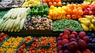 1,8 مليار دولار قيمة صادرات مصر من الحاصلات الزراعية خلال 9 أشهر