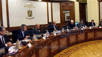 مجلس الوزراء يوافق على إنشاء شركة بور سعيد لتنمية الثروة الحيوانية