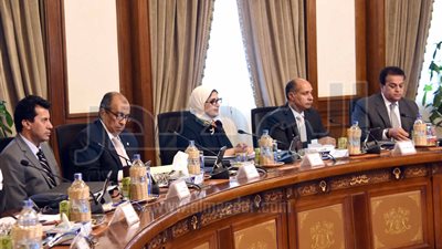 «الوزراء»: تخصيص 29 فدان بـ«جنوب سيناء» لإقامة محطة بحوث زراعية 