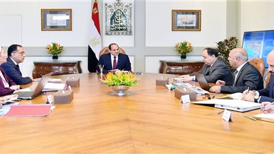 السيسي يوجه بإنشاء مجموعة عمل وزارية لتحويل الموانئ المصرية إلى «خضراء»
