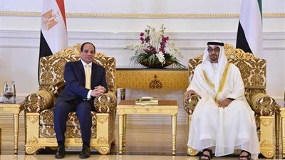 السيسي يبحث مع نائب رئيس الامارات مكافحة الإرهاب وتعزيز سيادة دول المنطقة