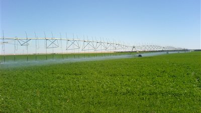 تجربة أول ماكينة مصرية لترشيد استهلاك مياه الري