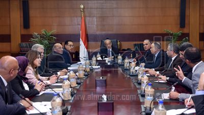 مجلس الوزراء يوافق على اتفاقيتين مع أمريكا بقيمة 15 مليون دولار