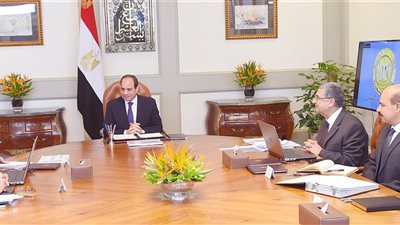 السيسى يوجه باستكمال تطوير منظومة الكهرباء فى مصر بأعلي المعايير الدولية
