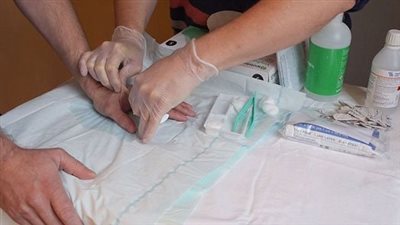 بالصور.. ابتكار شريحة ذكية تحت الجلد للاستغناء عن الأوراق الرسمية