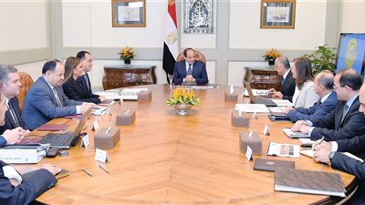 السيسي يستعرض مؤشرات الأداء الاقتصادي والاجتماعي خلال 2018-2019