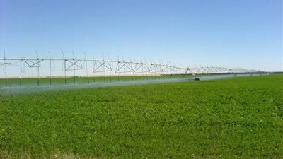 «الدولية للمحاصيل الزراعية».. تراجع ملحوظ للسهم فى 2019.. وخفض المصروفات يعزز نمو الأرباح