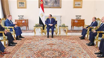 السيسي يبحث مع مسئول أمريكي تعزيز التعاون بين البلدين في أفريقيا