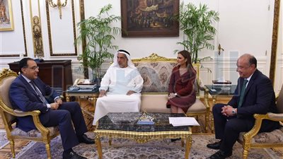 «الغرير» تبدأ زراعة 25 ألف فدان بـ«غرب المنيا» نهاية العام الجارى