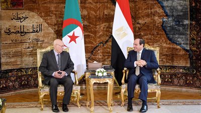 «السيسي» و«بن صالح» يبحثان تعزيز التعاون الثنائي بين مصر والجزائر