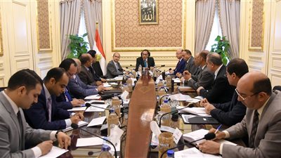 «مدبولى» يوجه بسرعة تنفيذ الإزالات بسور مجرى العيون