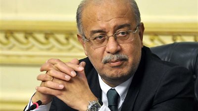 رئيس الوزراء يوافق على إسقاط الجنسية عن مواطنة مصرية