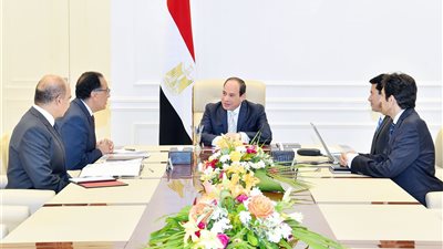السيسي يستعرض مع وزير الشباب تطورات مشروع الموهبة والبطل الأولمبي