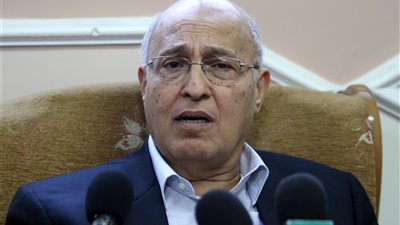 قيادي بحركة فتح: مصر قائدة الدور العربي بالمنطقة