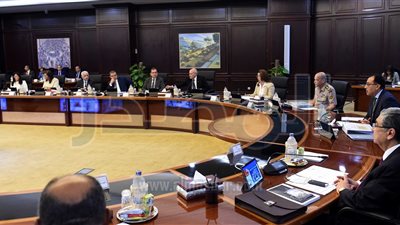 «الوزراء» يوافق على استيراد 20 ألف طن دواجن مجمدة سنوياً