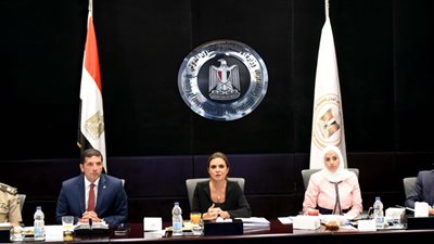 «الاستثمار» تقرر زيادة مقابل الانتفاع للمشروعات القائمة بالمناطق الحرة