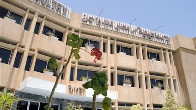 «الإسماعيلية للدواجن».. نمو المبيعات يدعم الأرباح.. والسهم يحقق مكاسب بعد سلسلة تراجعات