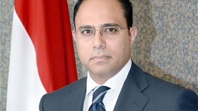 وزير الخارجية يشارك في متابعة تطورات الأزمة 