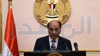 رئيس اتحاد جميعات المستثمرين يتبرع بـ 100 مليون جنيه لتنمية سيناء