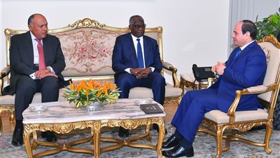 السيسي يبحث مع وزير خارجية غينيا التطورات المختلفة على الساحة الأفريقية