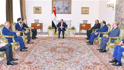 السيسي يبحث مع زعيم الحزب التقدمي الاشتراكي اللبناني سبل تعزيز التعاون