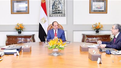 السيسي يستعرض تطورات تنفيذ المحطة النووية لتوليد الكهرباء بالضبعة