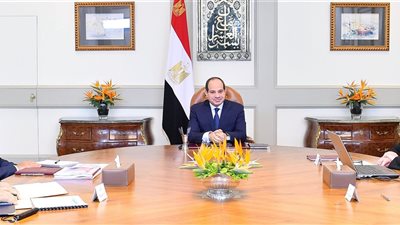 السيسي يوجه بتوفير التمويل لزيادة حجم المشروعات المتوسطة والصغيرة