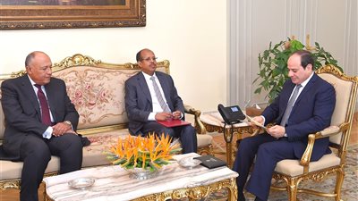 السيسي يبحث مع وزير خارجية جيبوتى تعزيز العلاقات الثنائية بين البلدين