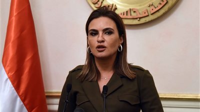 قرار وزاري بتنظيم عمل الأمانة الفنية للمجلس الأعلى للاستثمار