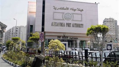 ميناء الاسكندرية يستقبل 55 ألف طن قمح روسي و 1052 رأس ماشية