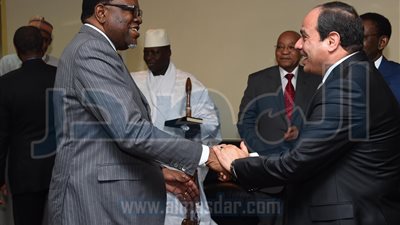 بالصور.. الرئيس يلتقي عددًا من قادة دول إفريقيا