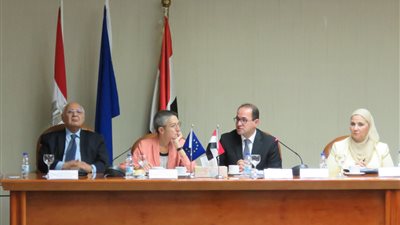 نائب وزير المالية: استكمال الإصلاحات الهيكلية للنهوض بالاقتصاد القومى