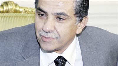 البيئة تدرس إنشاء أول مزرعة لتربية التماسيح