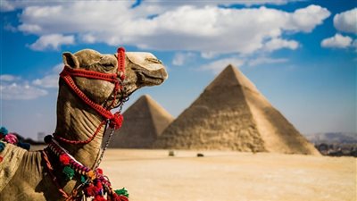 «بلوم للاستشارات»: مصر الأولى إفريقيًا في مجال الترويج السياحي