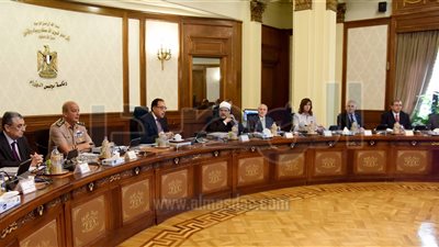 تخصيص 341,8 فدان لإقامة محطتي توليد كهرباء شمال غرب خليج السويس